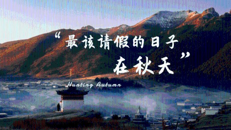 88影视